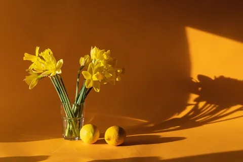 水仙花, 家居装饰, 黄色, 柠檬 水仙花, 家居装饰, 黄色, 柠檬