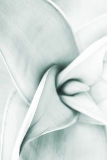 简约素雅ppt背景图片 简约素雅ppt背景图片