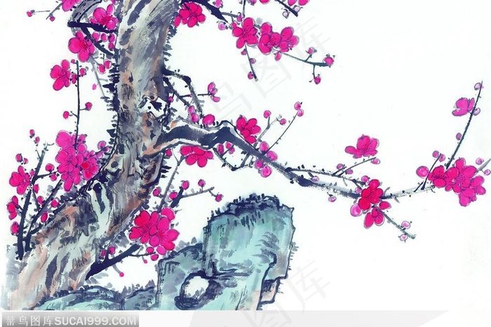 一株梅花树