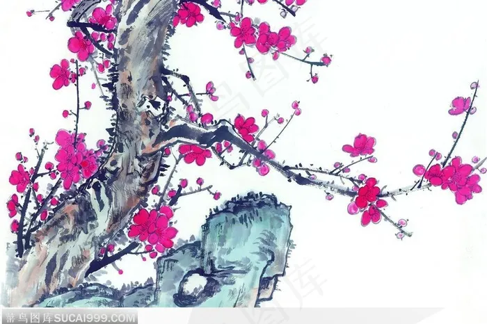 一株梅花树
