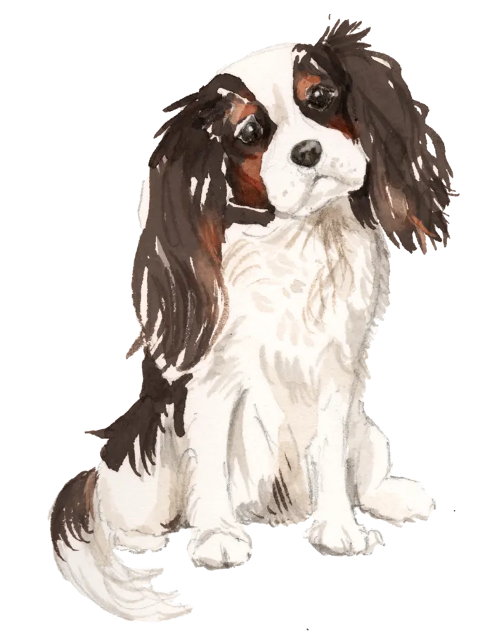 狗狗水彩画插画免扣素材可爱宠物狗