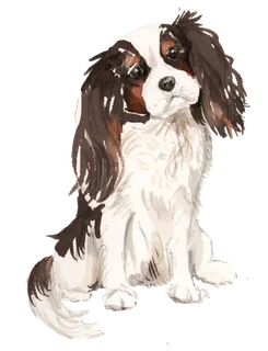 狗狗水彩画插画免扣素材可爱宠物狗