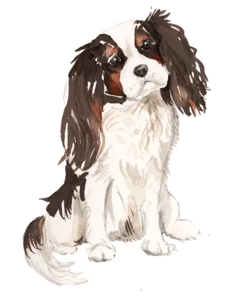 狗狗水彩画插画免扣素材可爱宠物狗