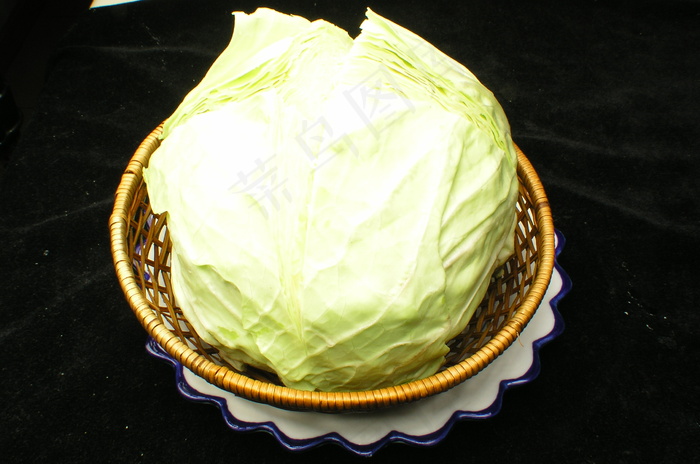 大圆白菜 