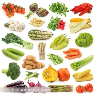 西红柿辣椒茄子洋葱南瓜芦笋芹菜生菜萝卜