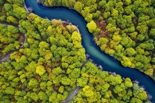 俯瞰下的森林河流摄影图