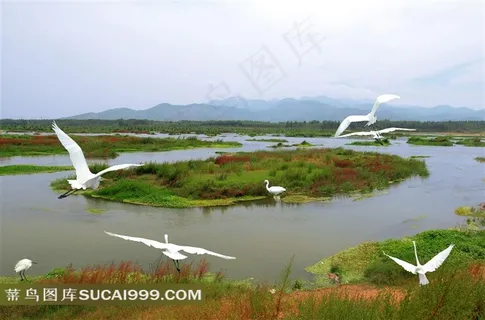 仙鹤山水风景图片