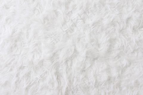 纯白羊绒地毯图片素材