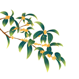 树木树枝树叶免扣素材