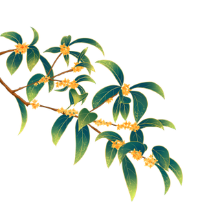 树木树枝树叶免扣素材