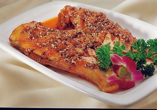 LCH1417迷食马面鱼