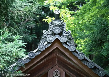 世界风情-精美的翘起的屋檐