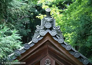 世界风情-精美的翘起的屋檐