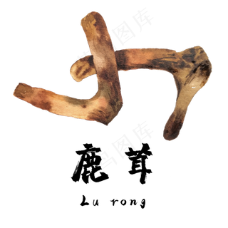 手绘草本中药药材鹿茸