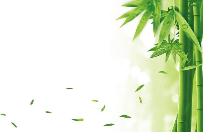 竹子水墨画中国风国画墨水书法竹子画