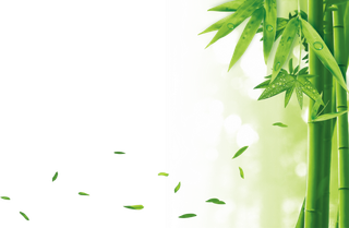 竹子水墨画中国风国画墨水书法竹子画