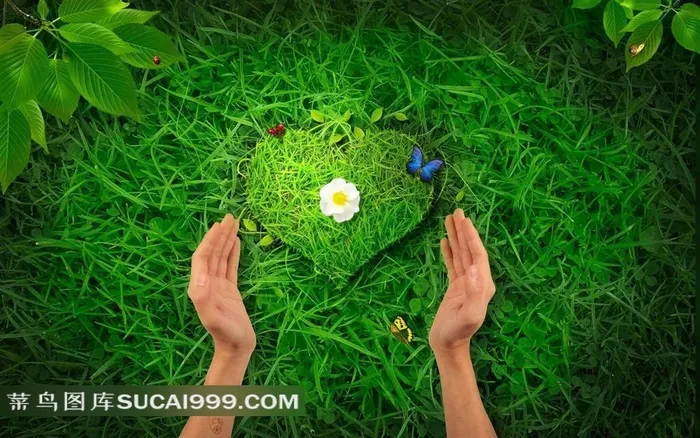 绿色环保图片素材