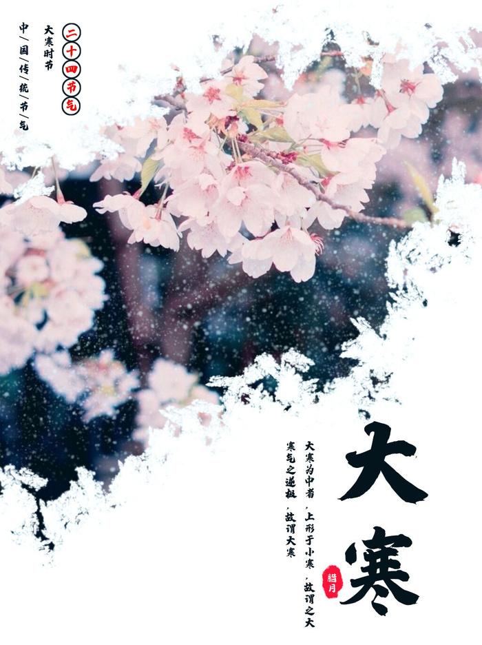 二十四24节气大寒中国传统节日冬季海报模设计素材psd模版下载