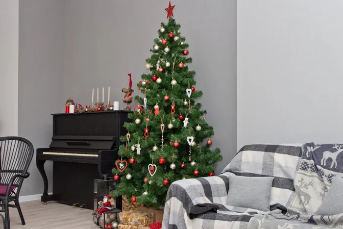 圣诞节圣诞壁炉圣诞树室内场景(69)