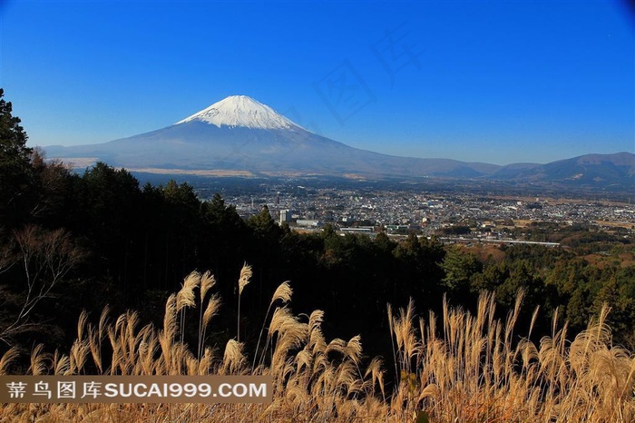 富士山美景素材