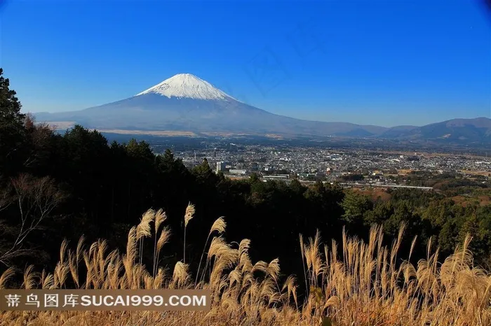 富士山美景素材
