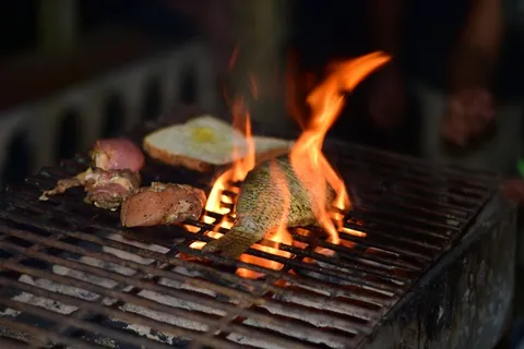 碳烤鱼图片 碳烤鱼图片