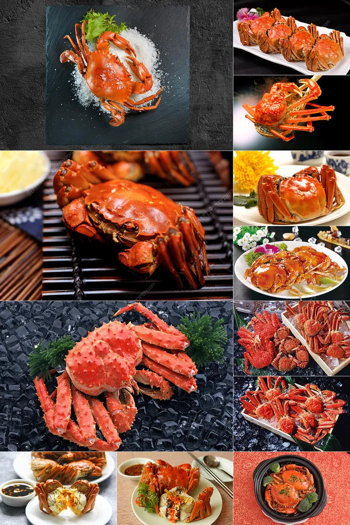 45张大闸蟹美食图片素材
