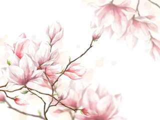 粉色简约风唯美鲜花桃花插画油画水墨画插图背景图片素材