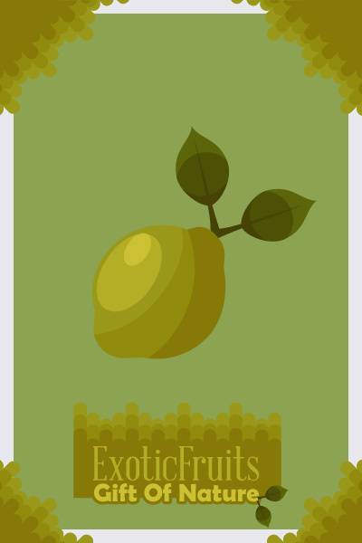 自然风景动物植物扁平矢量插画