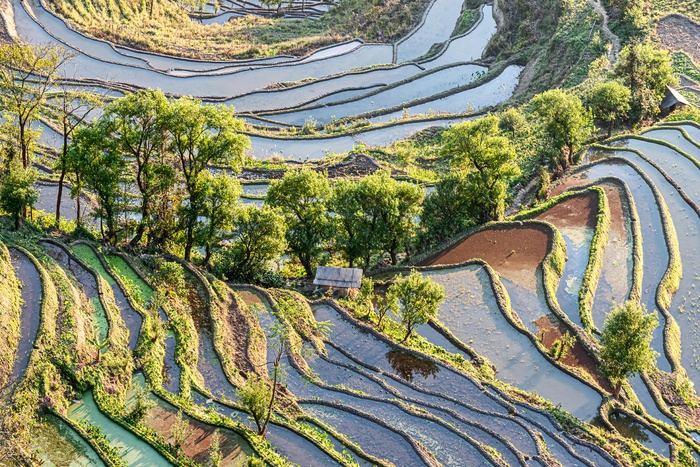 老虎嘴梯田