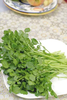 西洋菜    西洋菜