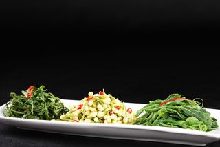 L01942珍珠茉莉花 (1)