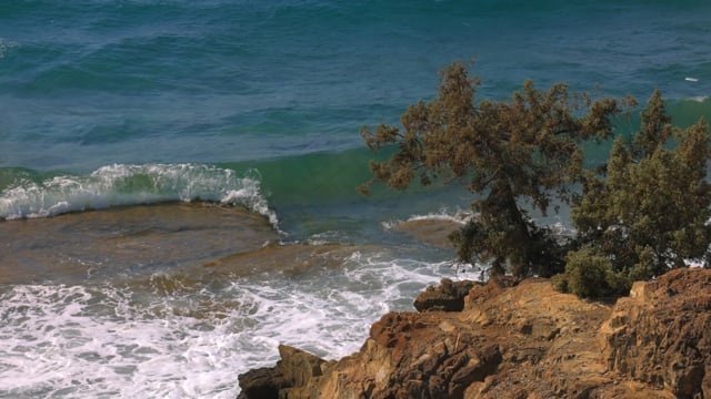 海洋, 海, 波浪, 土壤, 岛, 液体, 风, 假期