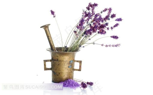 放在罐子里的薰衣草