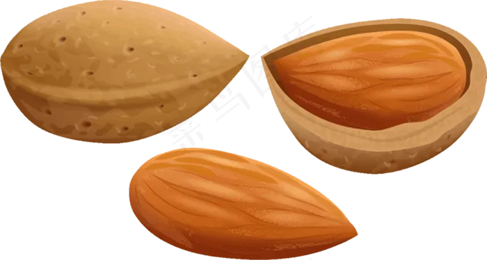 免抠干果坚果杏仁免抠