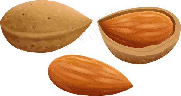 免抠干果坚果杏仁免抠