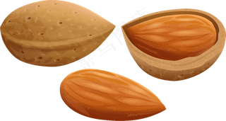 免抠干果坚果杏仁免抠