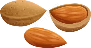 免抠干果坚果杏仁免抠