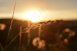 日落天空唯美剪影图片