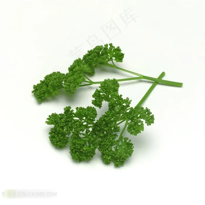 青菜新鲜蔬果