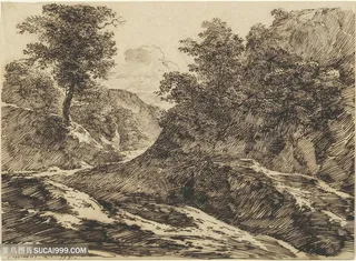 素描山脉树林风景画手绘插画