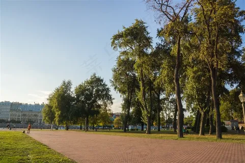 圣彼得堡城市街道绿化景观