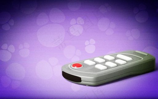 手持电子遥控器