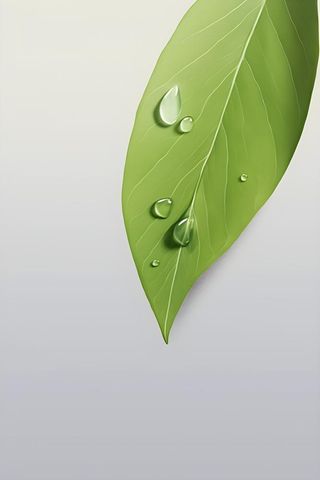 简约清新树叶纹理背景