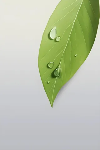 简约清新树叶纹理背景