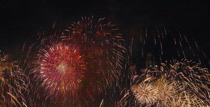 唯美烟花绽放火花庆典