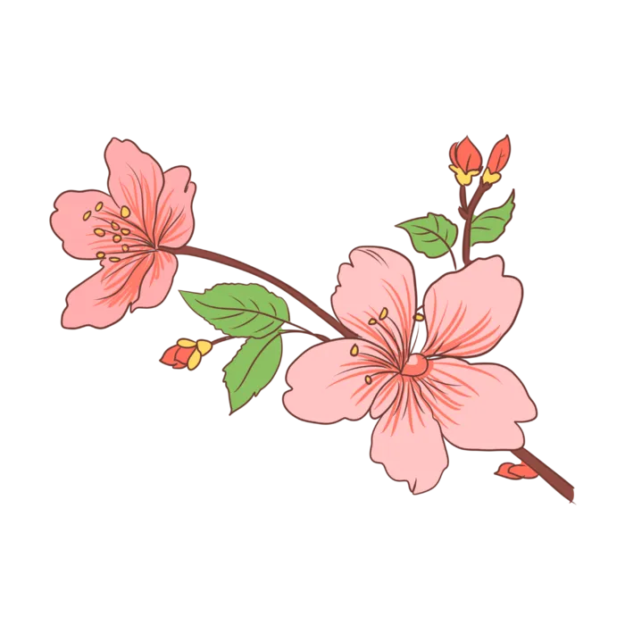 春天浪漫粉红色樱花手绘樱花梅花桃花花朵图片PNG免扣素材
