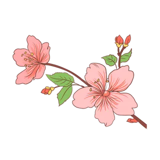 春天浪漫粉红色樱花手绘樱花梅花桃花花朵图片PNG免扣素材