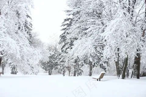 寒冷冬季雪景图片 寒冷冬季雪景图片