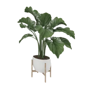 绿植盆栽装饰素材免扣